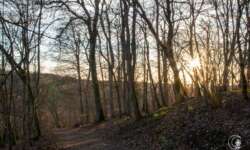 Auf dem Weg zur Ruine Auf dem Weg zur Ruine