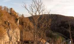 Die Ruine vom Nachbarfelsen Die Ruine vom Nachbarfelsen