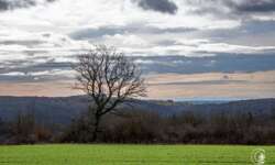 Blick zu den Alpen Blick zu den Alpen