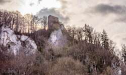 Ruine Wartstein Ruine Wartstein