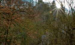 Morgenblick auf Burg Wartstein Morgenblick auf Burg Wartstein
