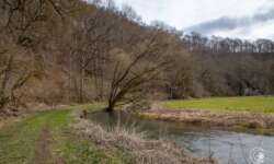 Kleiner Kletterbaum Kleiner Kletterbaum