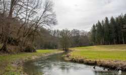 Fröhliches Mäandrieren Fröhliches Mäandrieren