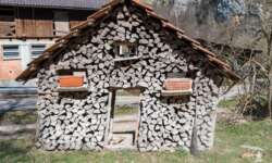 Holzhaus Holzhaus