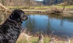 Pause an der Donau Pause an der Donau