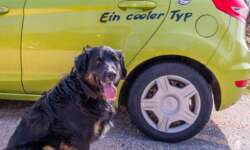 Maxi findet er sei ein cooler Typ Maxi findet er sei ein cooler Typ