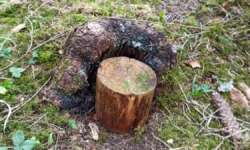 Geocaching Geocaching