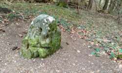 Dreibanniger Grenzstein Dreibanniger Grenzstein