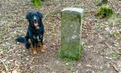 Maxi und "sein" Grenzstein Maxi und "sein" Grenzstein