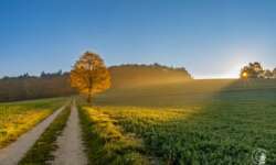 A sunny autumn morning A sunny autumn morning