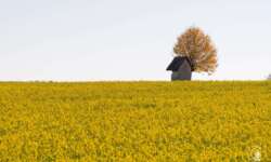 Auf der Alb Auf der Alb