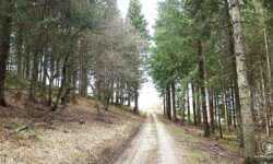 Durch solche Wege musst du wandern Durch solche Wege musst du wandern