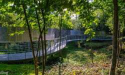 beeindruckendes Denkmal im Wald beeindruckendes Denkmal im Wald