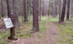 Infotafeln am Rundweg Infotafeln am Rundweg