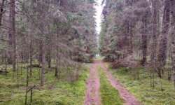 Rückweg auf der "Straße" Rückweg auf der "Straße"