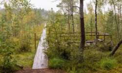 Der Start ins Moor Der Start ins Moor