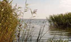 An den Ufern des Peipussees An den Ufern des Peipussees