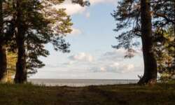 Blick vom Camping Blick vom Camping