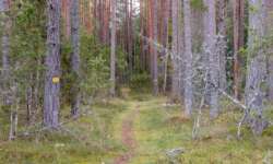 Der Kauksi Wanderpfad Der Kauksi Wanderpfad