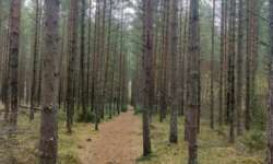 durch diese Gasse musst du gehen durch diese Gasse musst du gehen