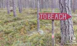 Da geht's lang Da geht's lang