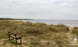 Traumhaftes Plätzchen am Strand von Peraküla Traumhaftes Plätzchen am Strand von Peraküla