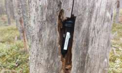 Gut versteckt Gut versteckt