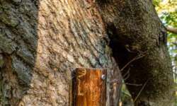 leicht versteckt leicht versteckt