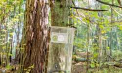 großer Geocache großer Geocache