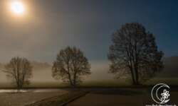 Im Tal der Gauja Im Tal der Gauja