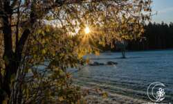 Morgenstimmung im Tal der Gauja Morgenstimmung im Tal der Gauja
