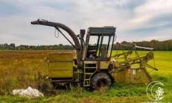 Lost Place auf Hiiumaa Lost Place auf Hiiumaa