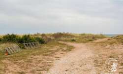 Sandiger Teil Sandiger Teil