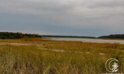 Der Vogelsee Der Vogelsee