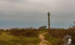 Der Weg zum Turm Der Weg zum Turm