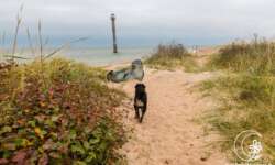 Maxi sucht neue Freunde Maxi sucht neue Freunde