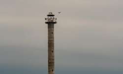 Der Leuchtturm Der Leuchtturm