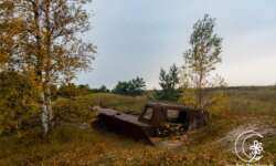 Schiffswrack Schiffswrack