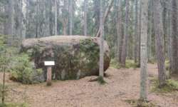 Findling zum Eingewöhnen Findling zum Eingewöhnen