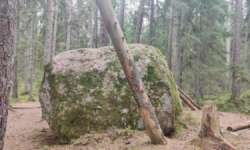 kleiner Findling kleiner Findling