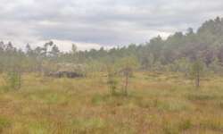 Noch ein Findling Noch ein Findling