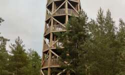 Sanddünenaussicht Sanddünenaussicht