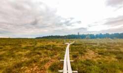Der Majakivi Wanderweg durch den Laheemaa Nationalpark Der Majakivi Wanderweg durch den Laheemaa Nationalpark