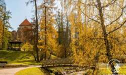 Der Park unter der Burg Der Park unter der Burg