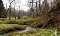 Das liebliche Tal Das liebliche Tal