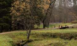 Tal zur Höhle Tal zur Höhle