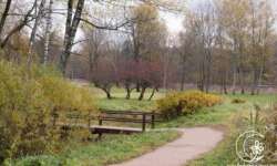 Über sieben Brücken... Über sieben Brücken...