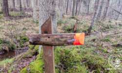 Wegmarkierung Wegmarkierung