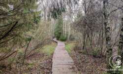 Über diese Stege darfst du gehen Über diese Stege darfst du gehen