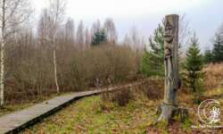 Der kleine Steg durchs Moor Der kleine Steg durchs Moor